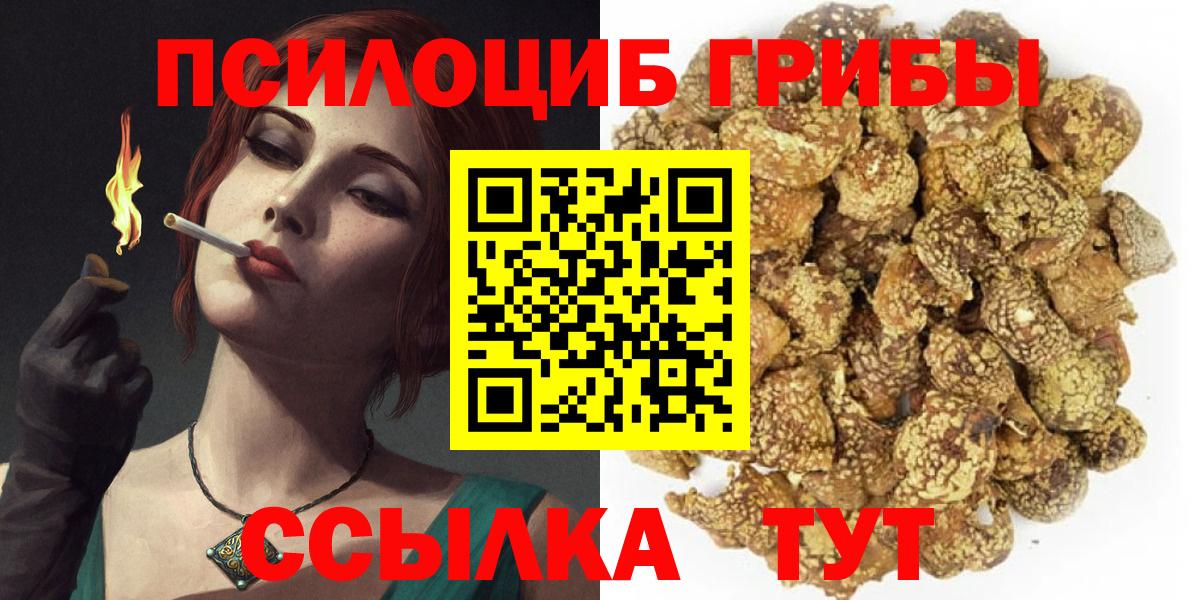 Псилоцибиновые грибы Psilocybine cubensis Светлоград