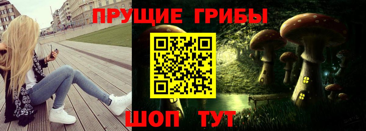 Светлоград  Псилоцибиновые грибы Psilocybine cubensis  Псилоцибиновые грибы Psilocybine cubensis  Вход с VPN 